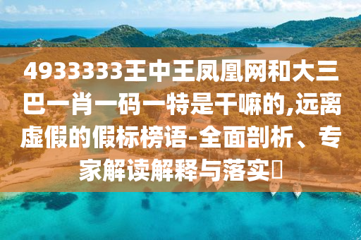 4933333王中王鳳凰網(wǎng)和大三巴一肖一碼一特是干嘛的,遠離虛假的假標(biāo)榜語-全面剖析、專家解讀解釋與落實?