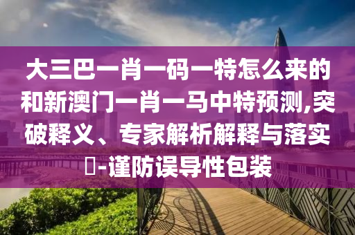 大三巴一肖一碼一特怎么來的和新澳門一肖一馬中特預測,突破釋義、專家解析解釋與落實?-謹防誤導性包裝