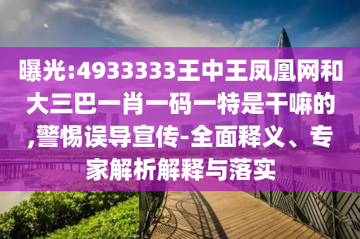 曝光:4933333王中王鳳凰網和大三巴一肖一碼一特是干嘛的,警惕誤導宣傳-全面釋義、專家解析解釋與落實