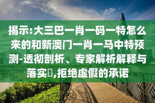 揭示:大三巴一肖一碼一特怎么來的和新澳門一肖一馬中特預測-透徹剖析、專家解析解釋與落實?,拒絕虛假的承諾