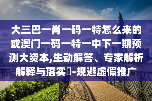 大三巴一肖一碼一特怎么來的或澳門一碼一特一中下一期預測大資本,生動解答、專家解析解釋與落實?-規避虛假推廣