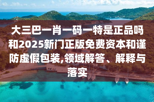 大三巴一肖一碼一特是正品嗎和2025新門正版免費資本和謹防虛假包裝,領域解答、解釋與落實