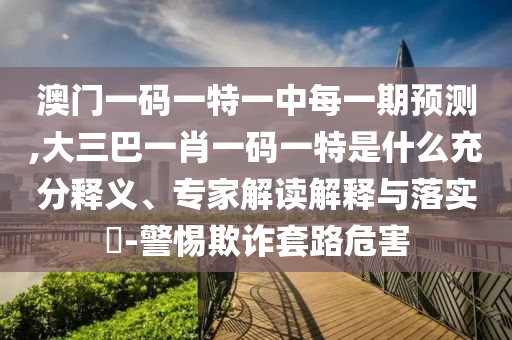 澳門一碼一特一中每一期預測,大三巴一肖一碼一特是什么充分釋義、專家解讀解釋與落實?-警惕欺詐套路危害