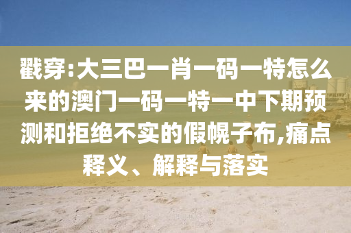 戳穿:大三巴一肖一碼一特怎么來的澳門一碼一特一中下期預(yù)測和拒絕不實的假幌子布,痛點釋義、解釋與落實