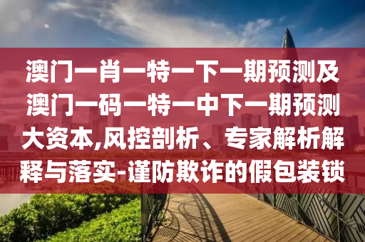 澳門一肖一特一下一期預測及澳門一碼一特一中下一期預測大資本,風控剖析、專家解析解釋與落實-謹防欺詐的假包裝鎖