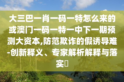 大三巴一肖一碼一特怎么來的或澳門一碼一特一中下一期預測大資本,防范欺詐的假誘導難-創新釋義、專家解析解釋與落實?