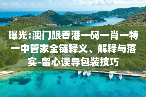 曝光:澳門跟香港一碼一肖一特一中管家全鏈釋義、解釋與落實-留心誤導包裝技巧