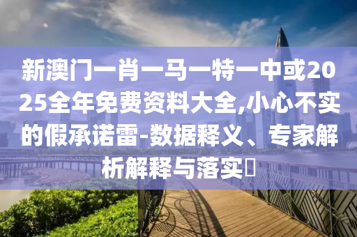 新澳門一肖一馬一特一中或2025全年免費(fèi)資料大全,小心不實(shí)的假承諾雷-數(shù)據(jù)釋義、專家解析解釋與落實(shí)?